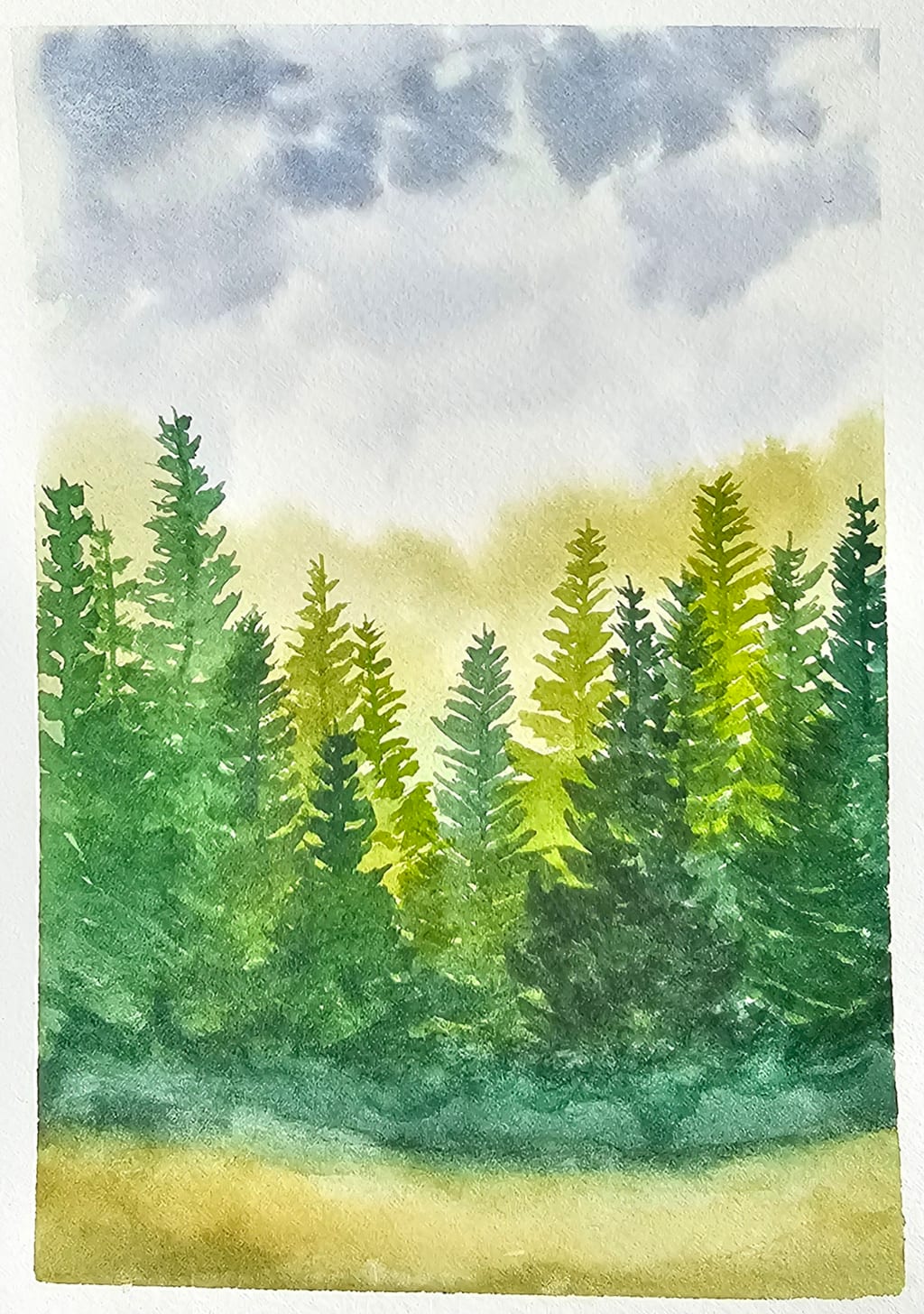 Misty Forest