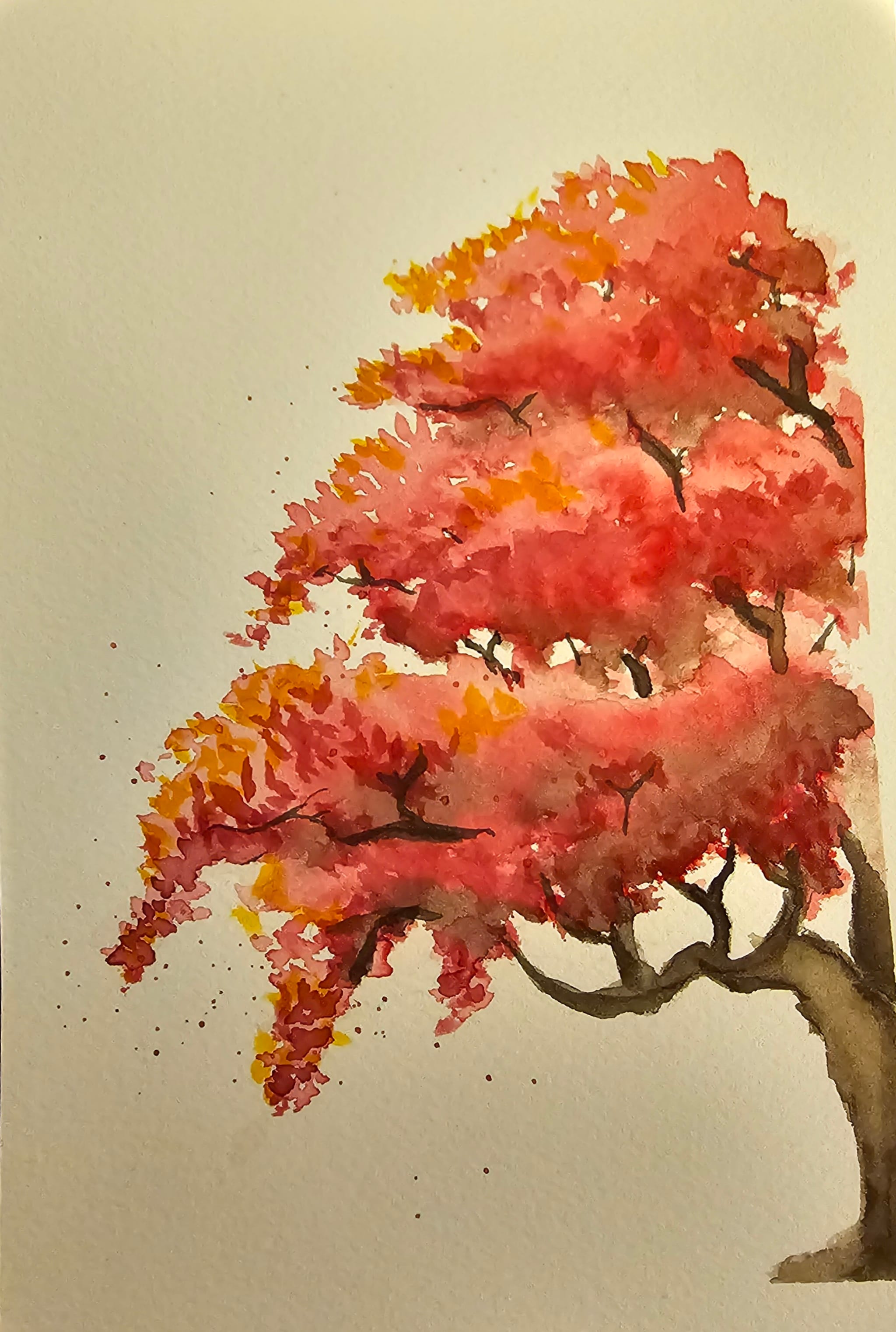 Cherry Blossom
